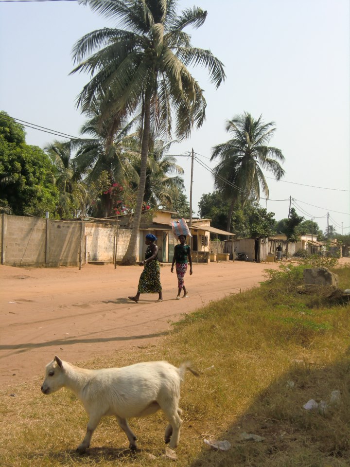 Français et Françaises au Togo
