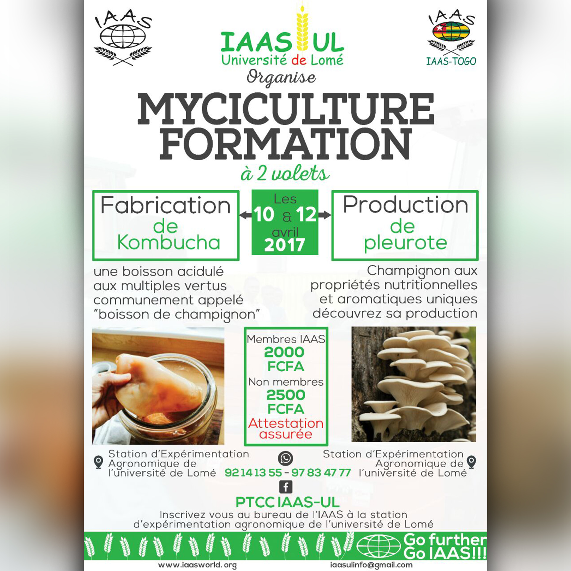 Formation en Myciculture