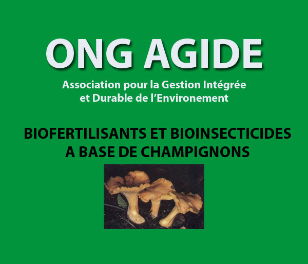 Biofertilisants et bioinsecticides à base du champignon "Made in Togo"